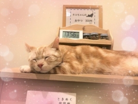 癒し‥