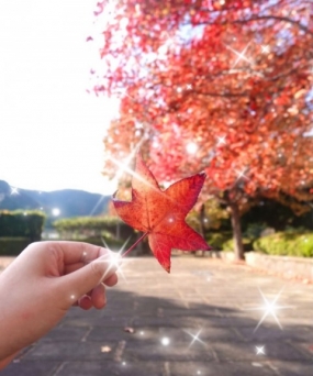 出勤しました！