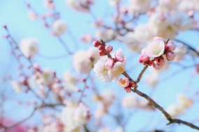 ありがとうございました^ ^