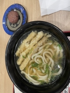 こんにちは、ここなです。